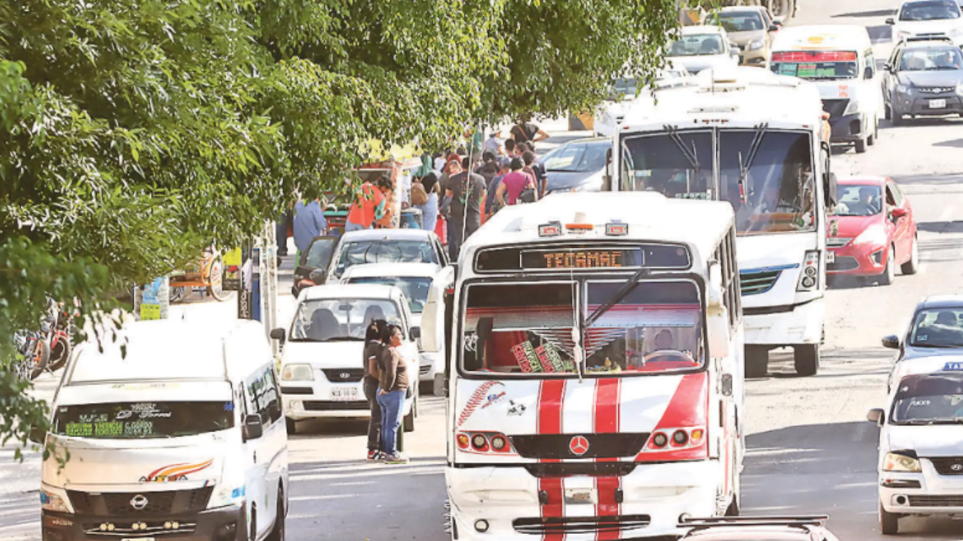 transporte edomex SERGIO VAZQUEZ